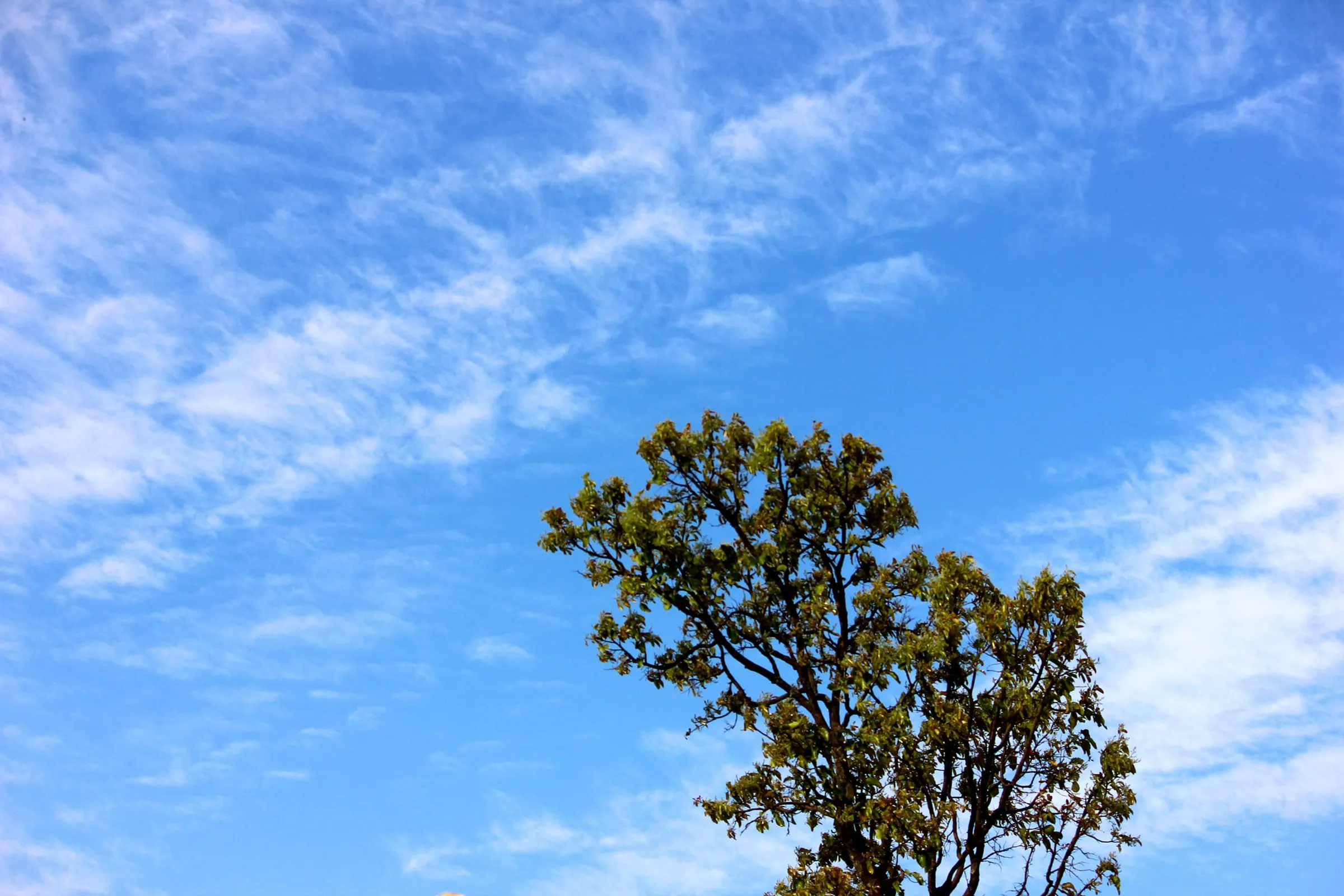Clear skies over Mainpat