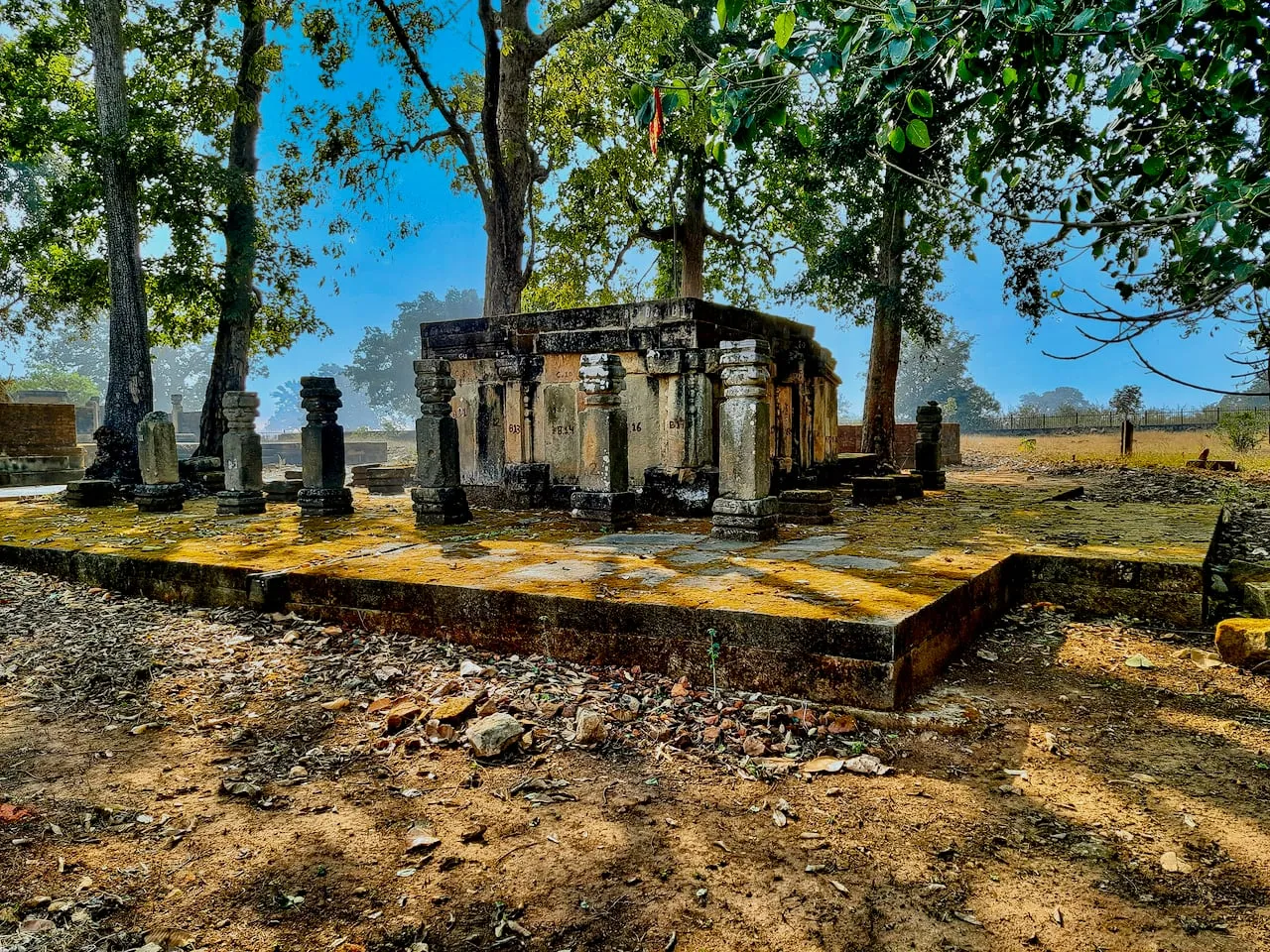 Temple ruins among the trees